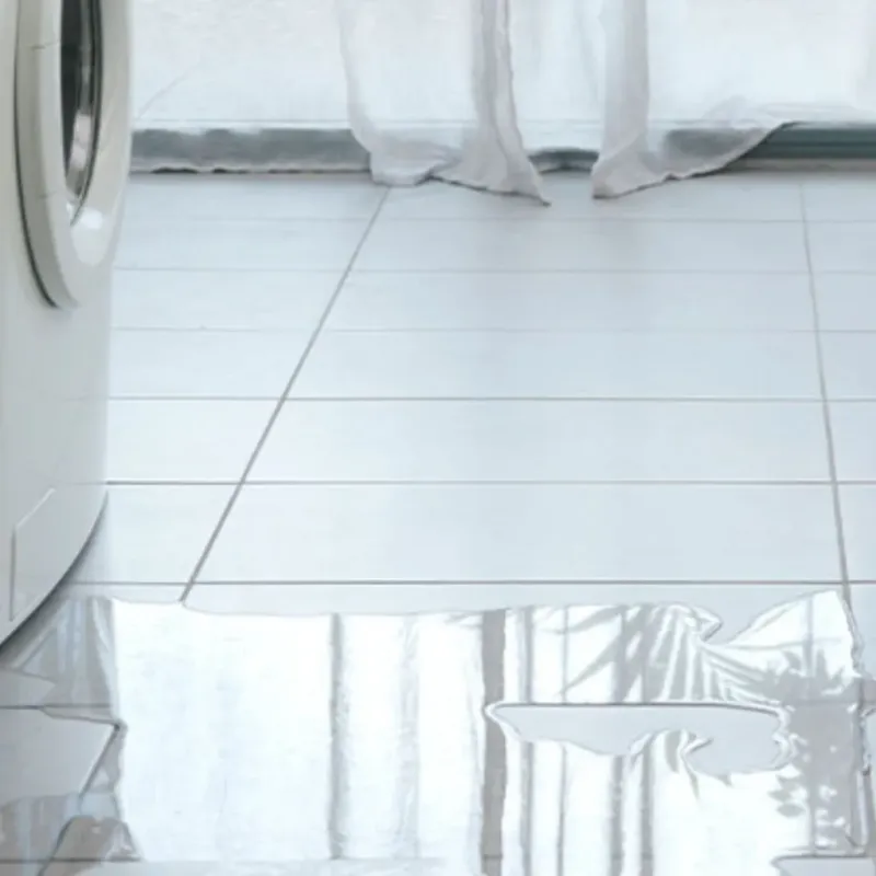 Appliance Leak Cleanup in Sterlington, LA